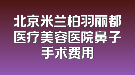 北京米兰柏羽丽都医疗美容医院鼻子手术费用
