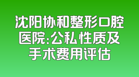 沈阳协和整形口腔医院：公私性质及手术费用评估
