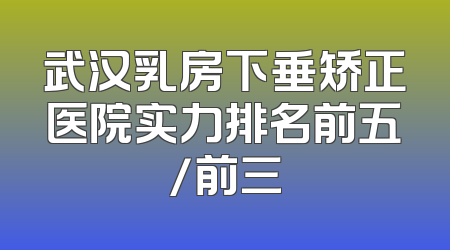 武汉乳房下垂矫正医院实力排名前五/前三