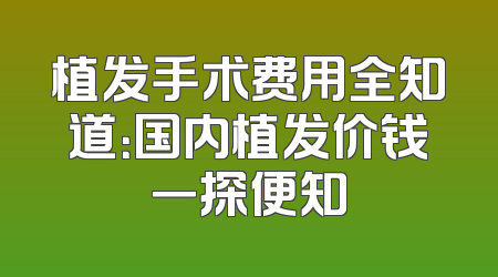 植发手术费用全知道：国内植发价钱一探便知