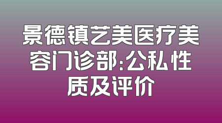 景德镇艺美医疗美容门诊部：公私性质及评价