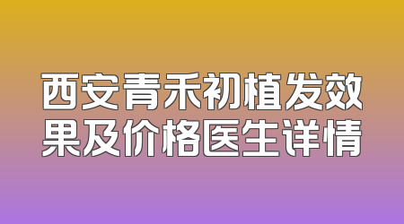 西安青禾初植发效果及价格医生详情