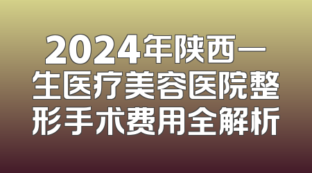 2024年陕西一生医疗美容医院整形手术费用全解析
