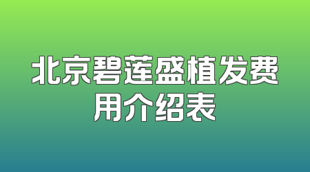 北京碧莲盛植发费用介绍表