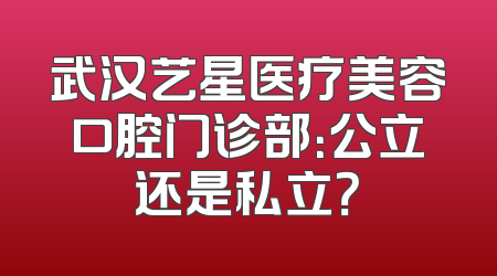 武汉艺星医疗美容口腔门诊部：公立还是私立？