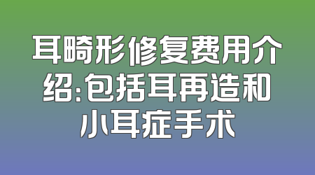 耳畸形修复费用介绍：包括耳再造和小耳症手术