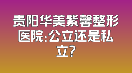 贵阳华美紫馨整形医院：公立还是私立？
