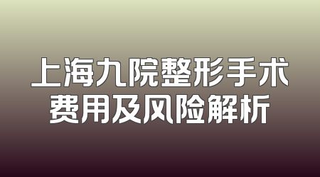 上海九院整形手术费用及风险解析