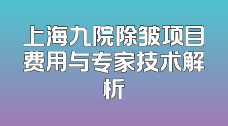 上海九院除皱项目费用与专家技术解析