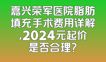 嘉兴荣军医院脂肪填充手术费用详解，2024元起价是否合理？