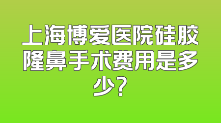 上海博爱医院硅胶隆鼻手术费用是多少？