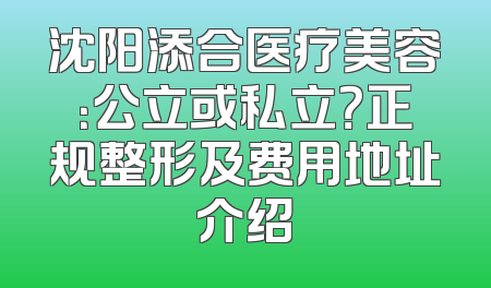 沈阳添合医疗美容：公立或私立？正规整形及费用地址介绍