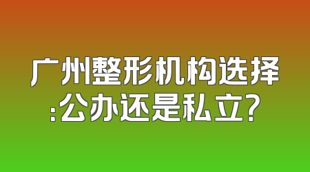 广州整形机构选择：公办还是私立？