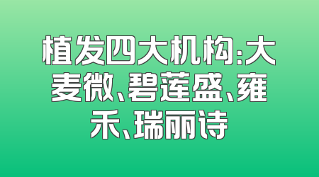 植发四大机构：大麦微、碧莲盛、雍禾、瑞丽诗