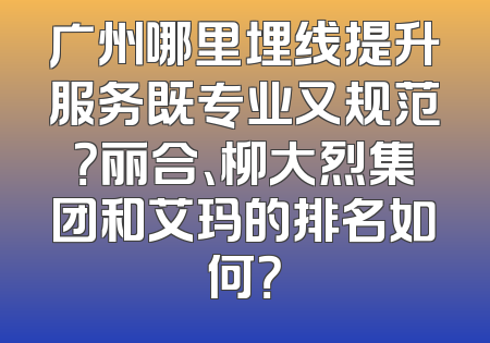 广州哪里埋线提升服务既专业又规范？丽合、柳大烈集团和艾玛的排名如何？