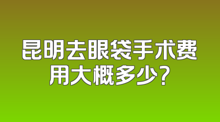 昆明去眼袋手术费用大概多少？