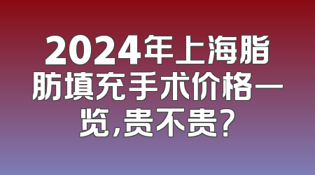 2024年上海脂肪填充手术价格一览，贵不贵？