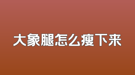 大象腿怎么瘦下来