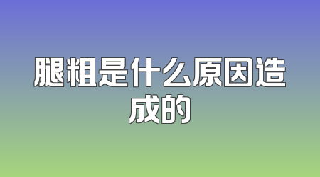 腿粗是什么原因造成的