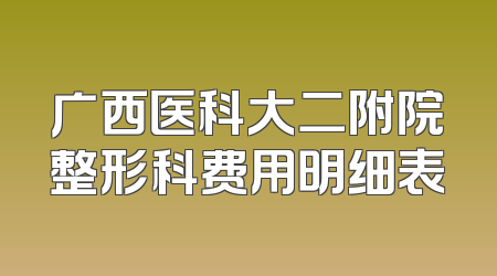 广西医科大二附院整形科费用明细表