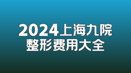 2024上海九院整形费用大全
