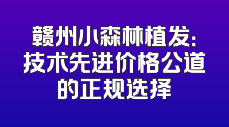 赣州小森林植发：技术先进价格公道的正规选择