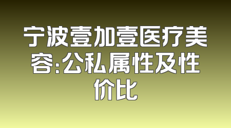 宁波壹加壹医疗美容：公私属性及性价比