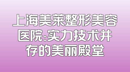 上海美莱整形美容医院：实力技术并存的美丽殿堂