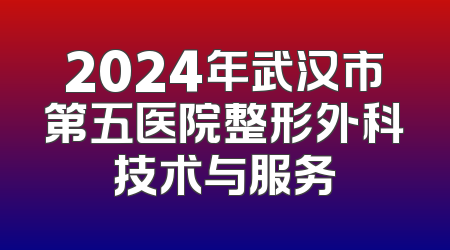 2024年武汉市第五医院整形外科技术与服务