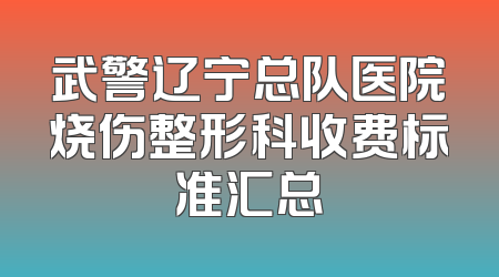 武警辽宁总队医院烧伤整形科收费标准汇总