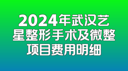 2024年武汉艺星整形手术及微整项目费用明细