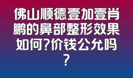 佛山顺德壹加壹肖鹏的鼻部整形效果如何？价钱公允吗？
