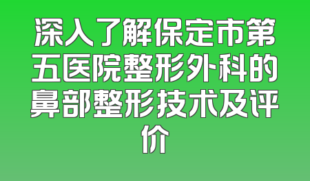 深入了解保定市第五医院整形外科的鼻部整形技术及评价
