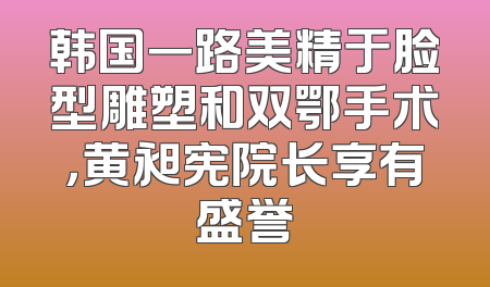 韩国一路美精于脸型雕塑和双鄂手术，黄昶宪院长享有盛誉