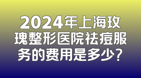 2024年上海玫瑰整形医院祛痘服务的费用是多少？