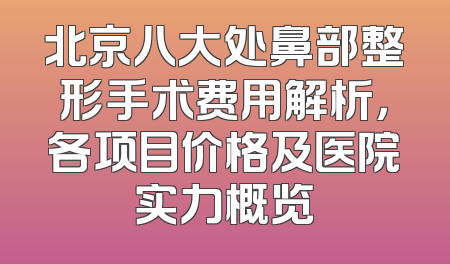 北京八大处鼻部整形手术费用解析，各项目价格及医院实力概览