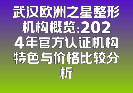 武汉欧洲之星整形机构概览：2024年官方认证机构特色与价格比较分析