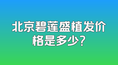 北京碧莲盛植发价格是多少？