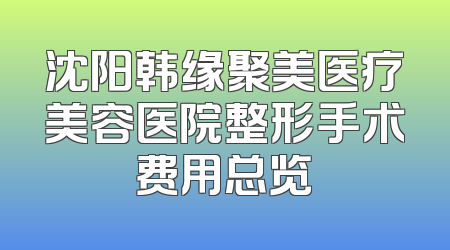 沈阳韩缘聚美医疗美容医院整形手术费用总览