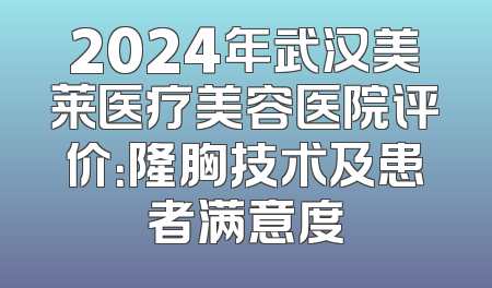 2024年武汉美莱医疗美容医院评价：隆胸技术及患者满意度