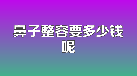 鼻子整容要多少钱呢