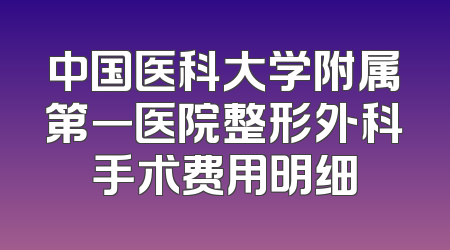 中国医科大学附属第一医院整形外科手术费用明细