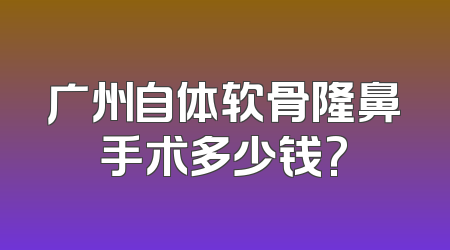 广州自体软骨隆鼻手术多少钱?