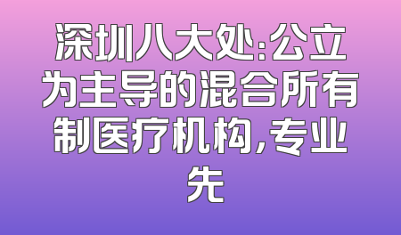 深圳八大处：公立为主导的混合所有制医疗机构，专业領先