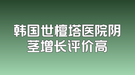 韩国世檀塔医院阴茎增长评价高