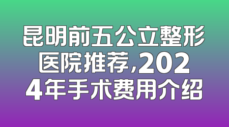 昆明前五公立整形医院推荐，2024年手术费用介绍