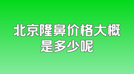 北京隆鼻价格大概是多少呢