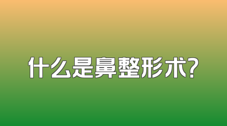 什么是鼻整形术？