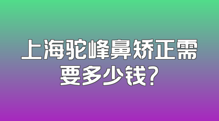 上海驼峰鼻矫正需要多少钱？