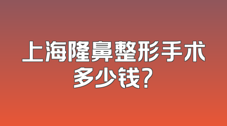 上海隆鼻整形手术多少钱？